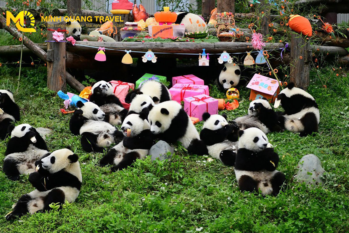 Tour Trung Quốc trọn gói từ Hà Nội 