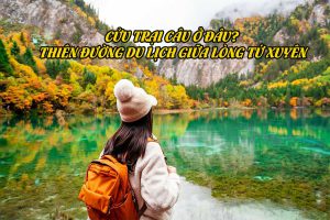 Cửu Trại Câu ở đâu